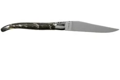 Laguiole En Aubrac 12cm L'Organique L0212B1I/FSI1, Couteau Laguiole -Couteaux De Poche Soldes AUL0212B1I FSI1 02 laguiole en aubrac