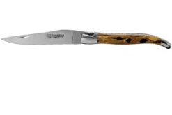 Laguiole En Aubrac 12cm Double Plates, Cactus Poncé Main, L0712CA51-FSI1