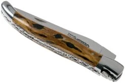 Laguiole En Aubrac 12cm Double Plates, Cactus Poncé Main, L0712CA51-FSI1 13 Laguiole En Aubrac 12cm Double Plates, Cactus Poncé Main, L0712CA51-FSI1 -Couteaux De Poche Soldes AUL0712CA51 FSI1 04 laguiole en aubrac v202010