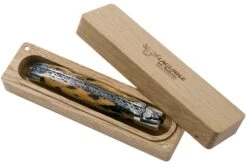 Laguiole En Aubrac 12cm Double Plates, Cactus Poncé Main, L0712CA51-FSI1 17 Laguiole En Aubrac 12cm Double Plates, Cactus Poncé Main, L0712CA51-FSI1 -Couteaux De Poche Soldes AUL0712CA51 FSI1 08 laguiole en aubrac v202010