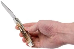 Case Trapper Amber Jigged Bone, 00164, 6254 SS Couteau De Poche -Couteaux De Poche Soldes CE164 09 case ce164 09