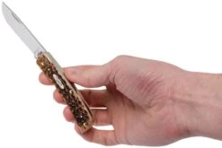 Case Sod Buster Jr Amber Jigged Bone, 00245, 6137 SS Couteau De Poche -Couteaux De Poche Soldes CE245 09 case ce245 09