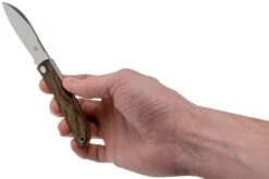 Fox Knives Livri FX-273ZW Zircote Couteau De Poche Slipjoint -Couteaux De Poche Soldes FOFX 273ZW 08 fox knives