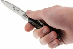 Fontenille Pataud 5 Coqs, Corne De Buffle Brute, 5CBB -Couteaux De Poche Soldes FP5CBB 07 fontenille pataud 5 coqs fp5cbb 07