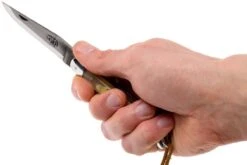 Forge De Laguiole 12110INCABDF, Corne D'Aubrac -Couteaux De Poche Soldes LA12110INCABDF 07 forge de laguiole la12110incabdf 07