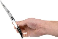 Forge De Laguiole Airbus A350 1211 INAIRBUS Couteau Laguiole -Couteaux De Poche Soldes LA1211INAIRBUS 07 forge de laguiole