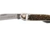 Robert Klaas Classic Line 100mm, Real Stag 383-451 Couteau & Décapsuleur -Couteaux De Poche Soldes RS383 451 01 robert klaas rs383 451 01