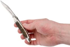 Robert Klaas Classic Line 100mm, Real Stag 383-451 Couteau & Décapsuleur -Couteaux De Poche Soldes RS383 451 07 robert klaas rs383 451 07