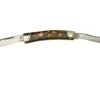 Rough Ryder Imitation Tortoise Moose, RR2436 Couteau De Poche -Couteaux De Poche Soldes RY2436 01 roughryder