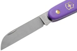 Victorinox Couteau Fleuriste 3.9050.22B1 Violet -Couteaux De Poche Soldes VT3 9050 22B1 03 victorinox